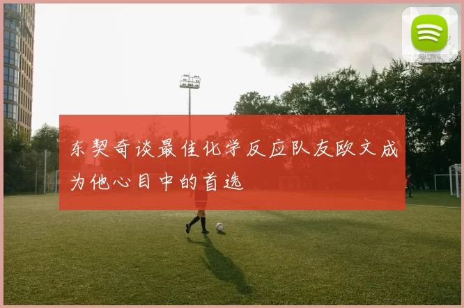 东契奇谈最佳化学反应队友欧文成为他心目中的首选